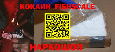 мдпв Камышлов