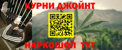 индика Обь