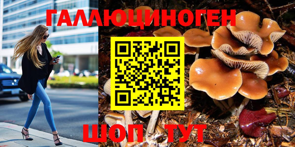Псилоцибиновые грибы GOLDEN TEACHER Заречный